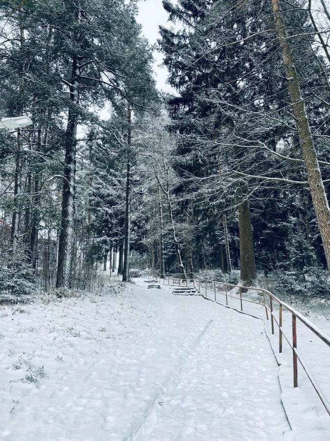 Apartman Galerie - Lipno Nad Vltavou Kültér fotó