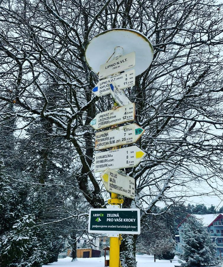 Apartman Galerie - Lipno Nad Vltavou Kültér fotó