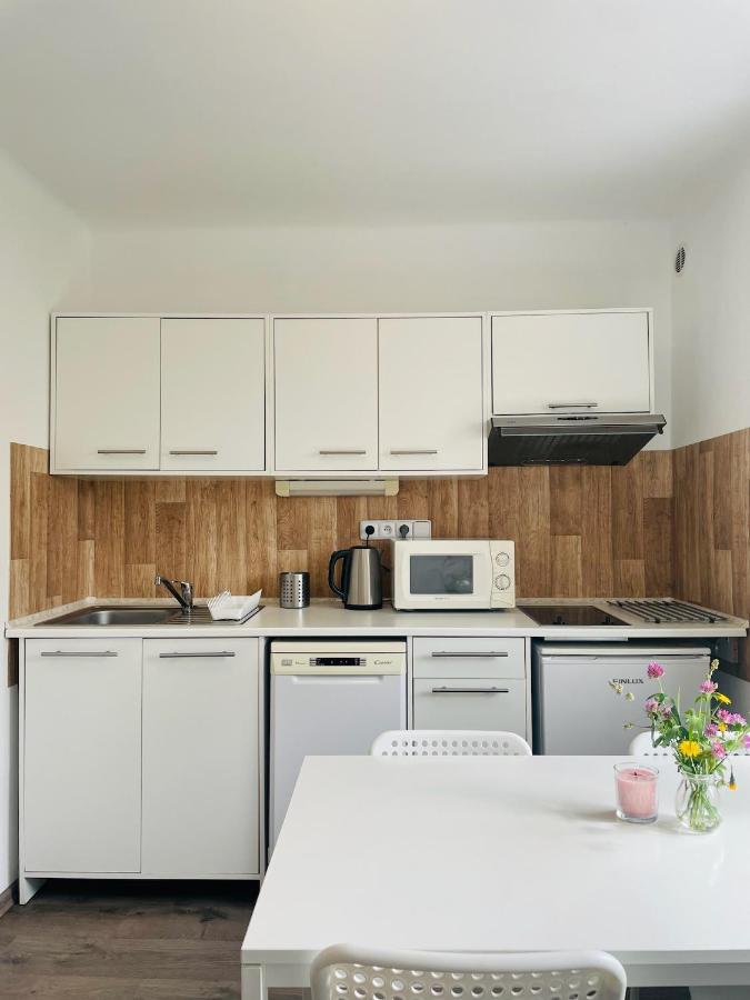 Apartman Galerie - Lipno Nad Vltavou Kültér fotó